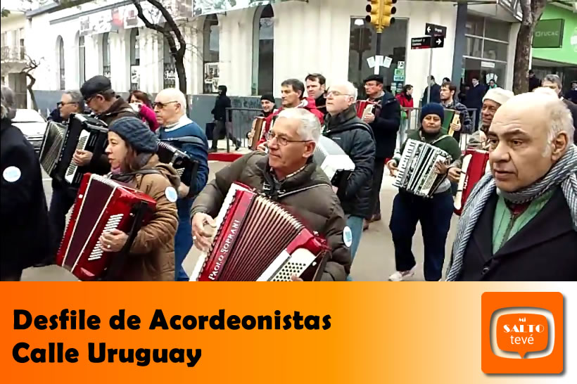 Desfile callejeros de Acordeonistas