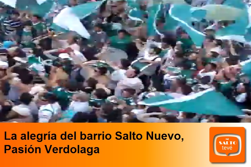 La alegría del barrio Salto Nuevo, Pasión Verdolaga