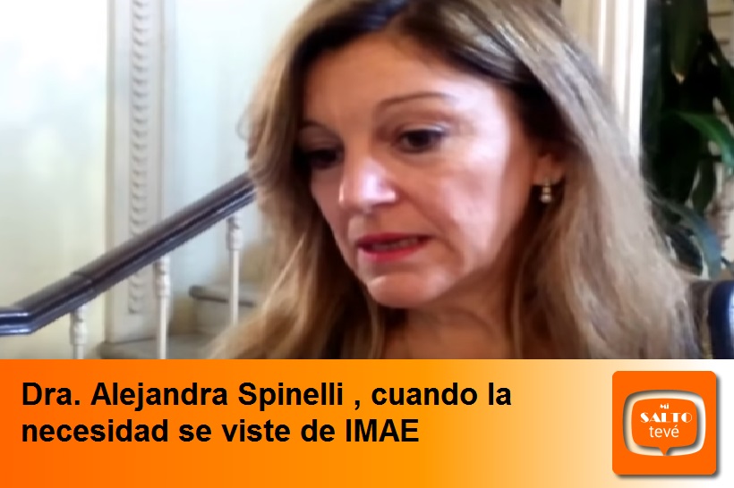 Dra. Alejandra Spinelli , cuando la necesidad se viste de IMAE