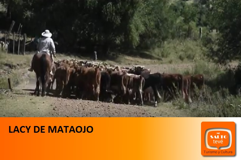 Lacy de Mataojo