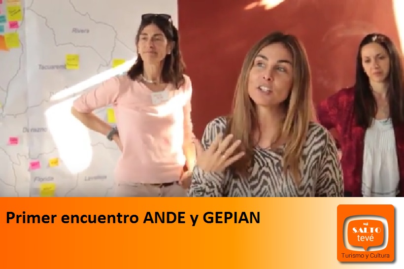 Primer encuentro ANDE y GEPIAN