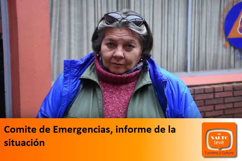 Comité de Emergencias, informe de la situación