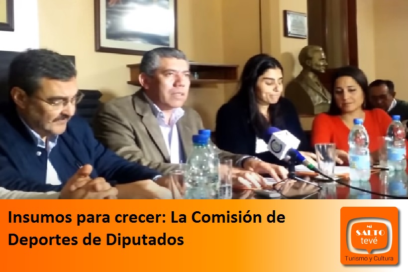 Insumos para crecer: La Comisión de Deportes de Diputados
