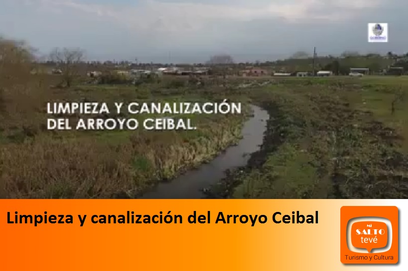 Limpieza y canalización del Arroyo Ceibal