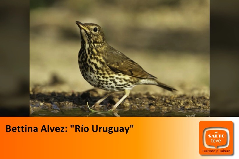 Bettina Alvez: «Río Uruguay»