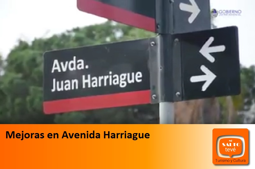 Mejoras en Avenida Harriague