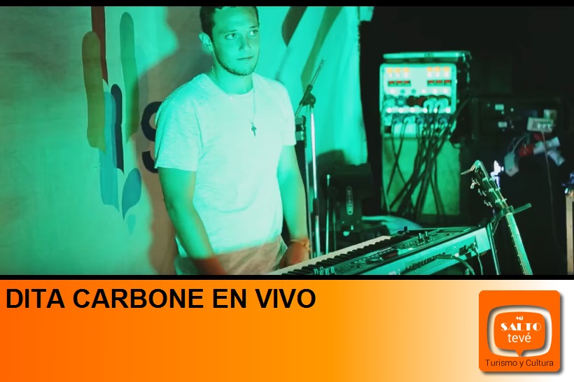 DITA CARBONE EN VIVO