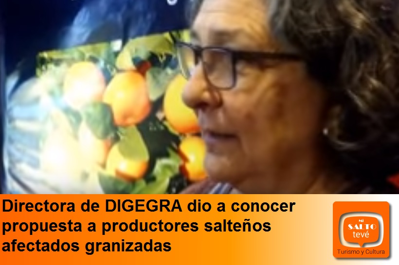 Directora de DIGEGRA dio a conocer propuesta a productores salteños afectados granizadas