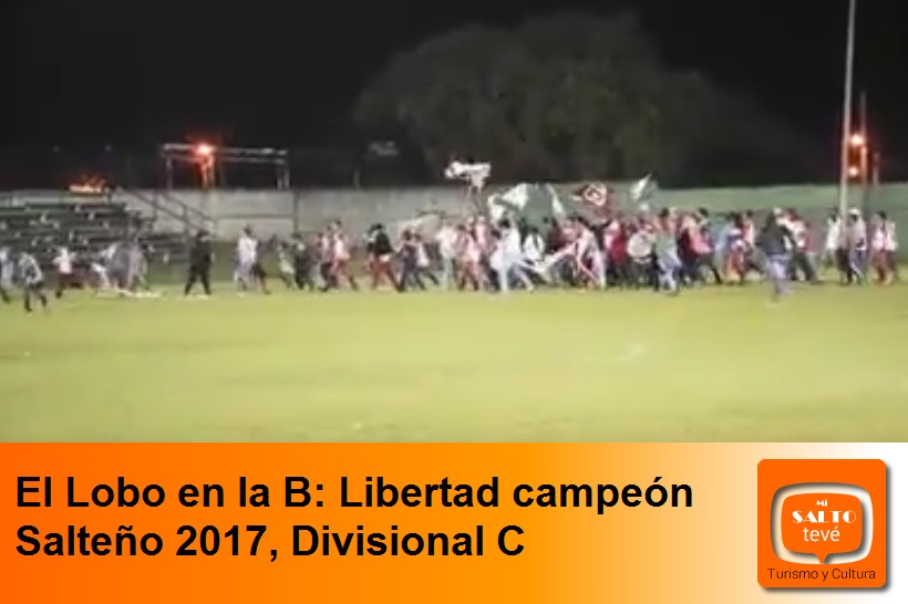 El Lobo en la B: Libertad campeón Salteño 2017, Divisional C