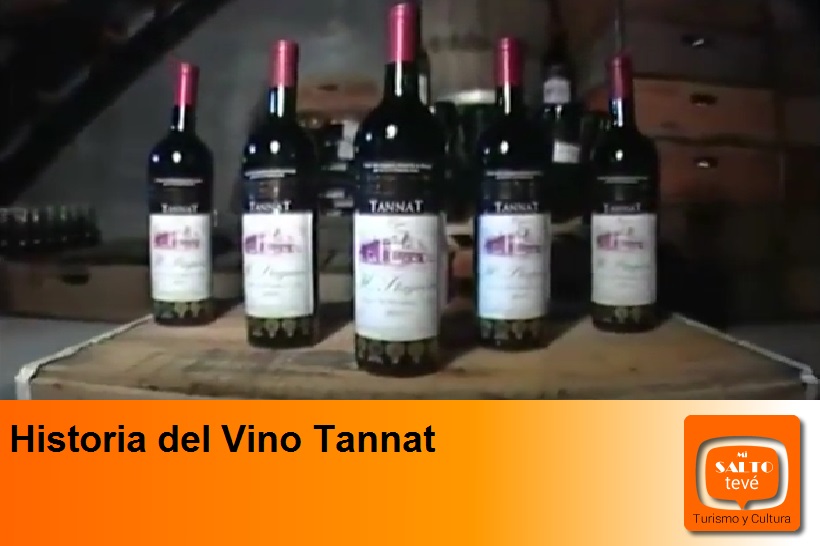 Historia del Vino Tannat