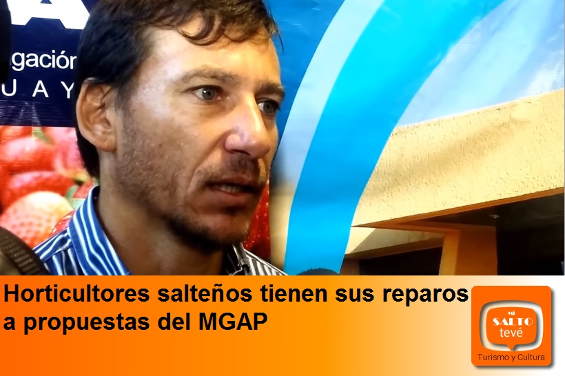 Horticultores salteños tienen sus reparos a propuestas del MGAP