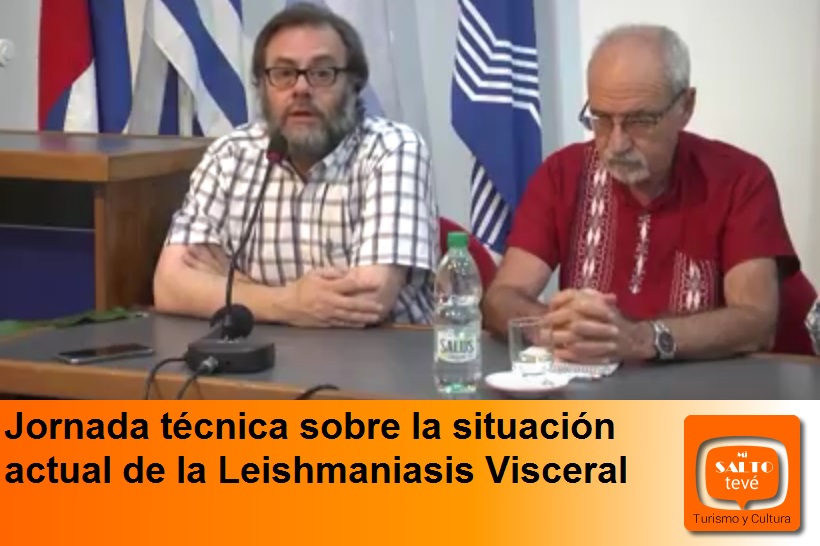 Jornada técnica sobre la situación actual de la Leishmaniasis Visceral