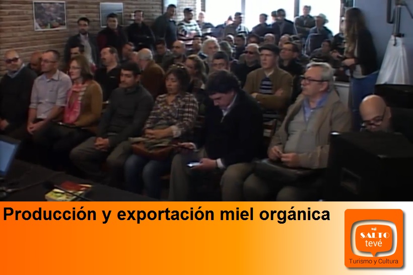 Producción y exportación miel orgánica