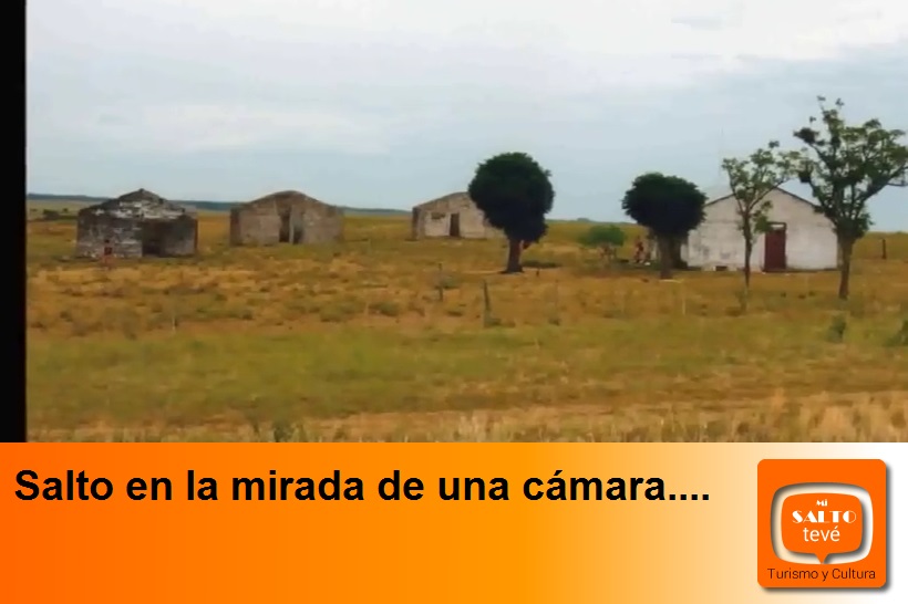 Salto en la mirada de una cámara….