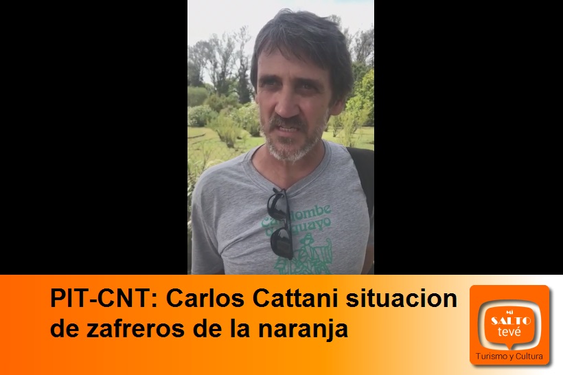 PIT-CNT: Carlos Cattani situacion de zafreros de la naranja
