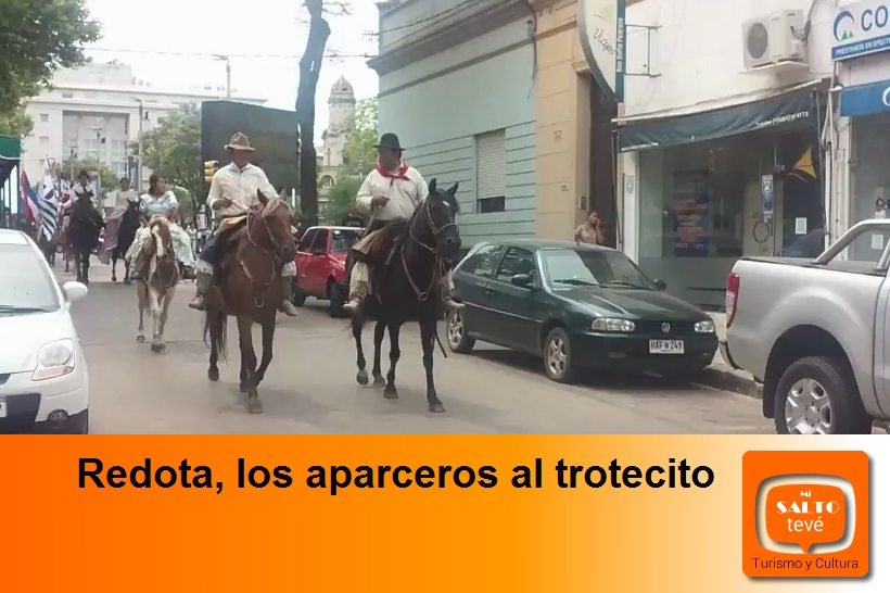 Redota, los aparceros al trotecito