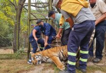 Rumbo a Flores: Cierre del Zoológico de Salto comenzó traslado de anímales