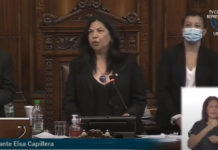 La salteña, Elsa Capillera (CA), es la nueva Primer Vice Presidente de Diputados…