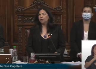 La salteña, Elsa Capillera (CA), es la nueva Primer Vice Presidente de Diputados…