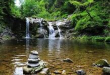 Asociación Civil Ambientalista de Salto: Una reflexión sobre Día Mundial del Agua