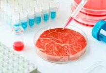 Polémica mundial : “Hay que contrarrestar la carne sintética con información”