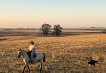 Mónica Silva-Soledad Arrarte: Federación Rural , 105 años después, una mujer será Presidente