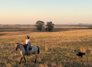 Mónica Silva-Soledad Arrarte: Federación Rural , 105 años después, una mujer será Presidente