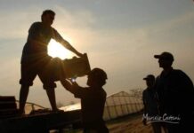 Tierra, sudor y coraje siempre : Este 30 de abril Uruguay conmemora el Día del Trabajador Rural