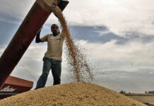 MGAP y CAF ofrecen capacitación sobre manejo de granos