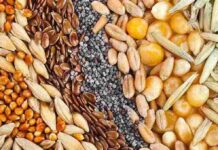 INASE también trabaja en Plan Estratégico