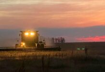 En la última semana se cosechó casi el 25% de la soja