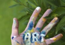 MEC: Ventanilla abierta: fortalecimiento de las Artes Visuales