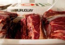 Federación Rural solicitó al canciller Bustillo volver a integrar Procarnes