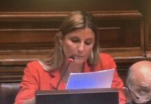 Dip. Agustina Escanellas tiene postura contraria al proyecto de Tenencia Compartida de C.A. y el PN