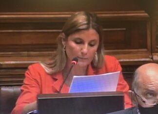 Dip. Agustina Escanellas tiene postura contraria al proyecto de Tenencia Compartida de C.A. y el PN