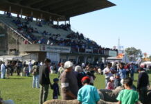 Falta un mes y ya no hay lugares exteriores libres en la Expo Salto 2021