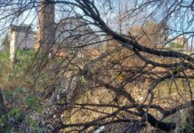 Edil Pablo Williams de la lista 180 (PN) reclama limpieza urgente en arroyo Sauzal zona de la desembocadura