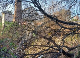 Edil Pablo Williams de la lista 180 (PN) reclama limpieza urgente en arroyo Sauzal zona de la desembocadura