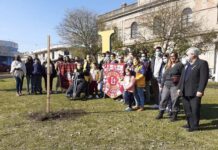 Actividades leonísticas en Salto: Plantación de árboles reparto de juguetes y compartir juegos, por Día del Niño…