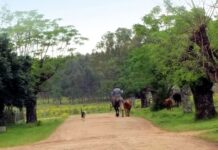 «Donde late la tierra», el nuevo libro del autor sanducero Ricardo Cattani