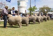 Información de interés general: Por visita de Escuelas a Expo Salto 2021