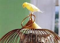 Después del Memorioso Funes…