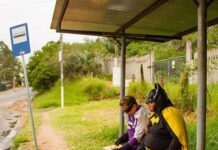 Historias de payasos y payasos de la historia