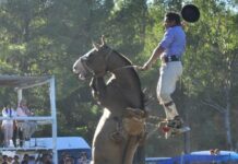 Cuando las hinchadas se divierten…