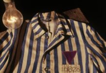 Miles de testigos de Jehová entre los millones de víctimas del nazismo