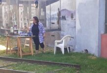 Carolina Albernaz restaura Mural en sede de Ferro Carril F.C.