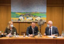 Diputado Rodrigo Albernaz preside Comisión de Transportes y Obras públicas en Cámara de Diputados