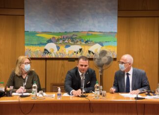 Diputado Rodrigo Albernaz preside Comisión de Transportes y Obras públicas en Cámara de Diputados