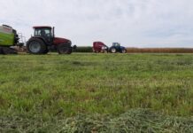 No sólo es la más grande, es la mejor Expo Activa de la historia