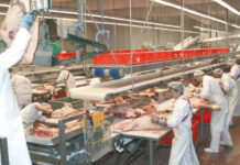 Tras inversiones en Tacuarembó, Marfrig aumentará la capacidad de la salteña Cledinor